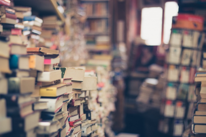 boutique-LE CANNET-min_books_stack_book_store_stack_of_books_2nd_hand_retro_hipster_shop-829090