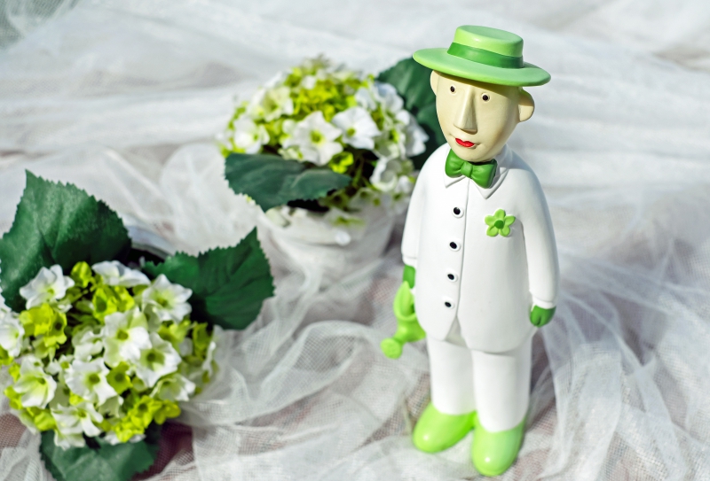 boutique-LE CANNET-min_man-person-flower-green-toy-fig-546529-pxhere.com